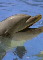 Zoo Duisburg