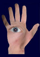 Erfahrungsfeld der Sinne